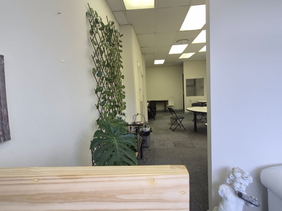 To Let 0 Bedroom Property for Rent in Rondebosch Western Cape